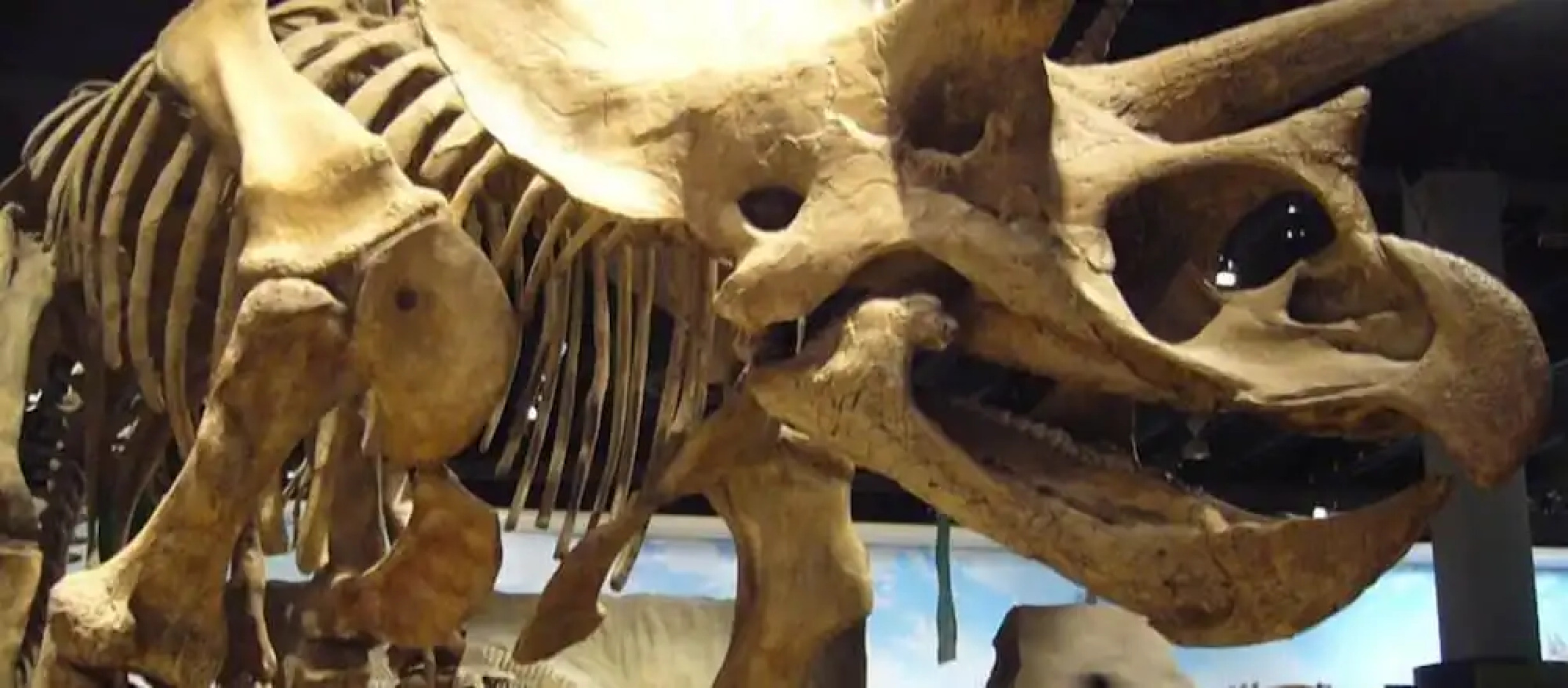 Bowman Lodge And Conference Center