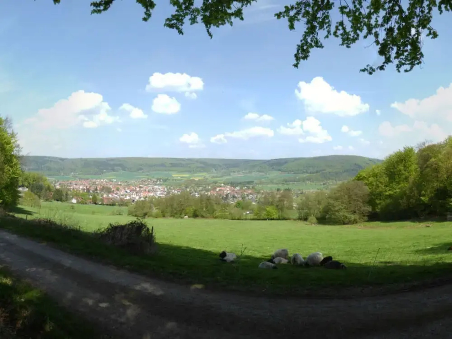 Fantastic Apartment in Reinhardshagen