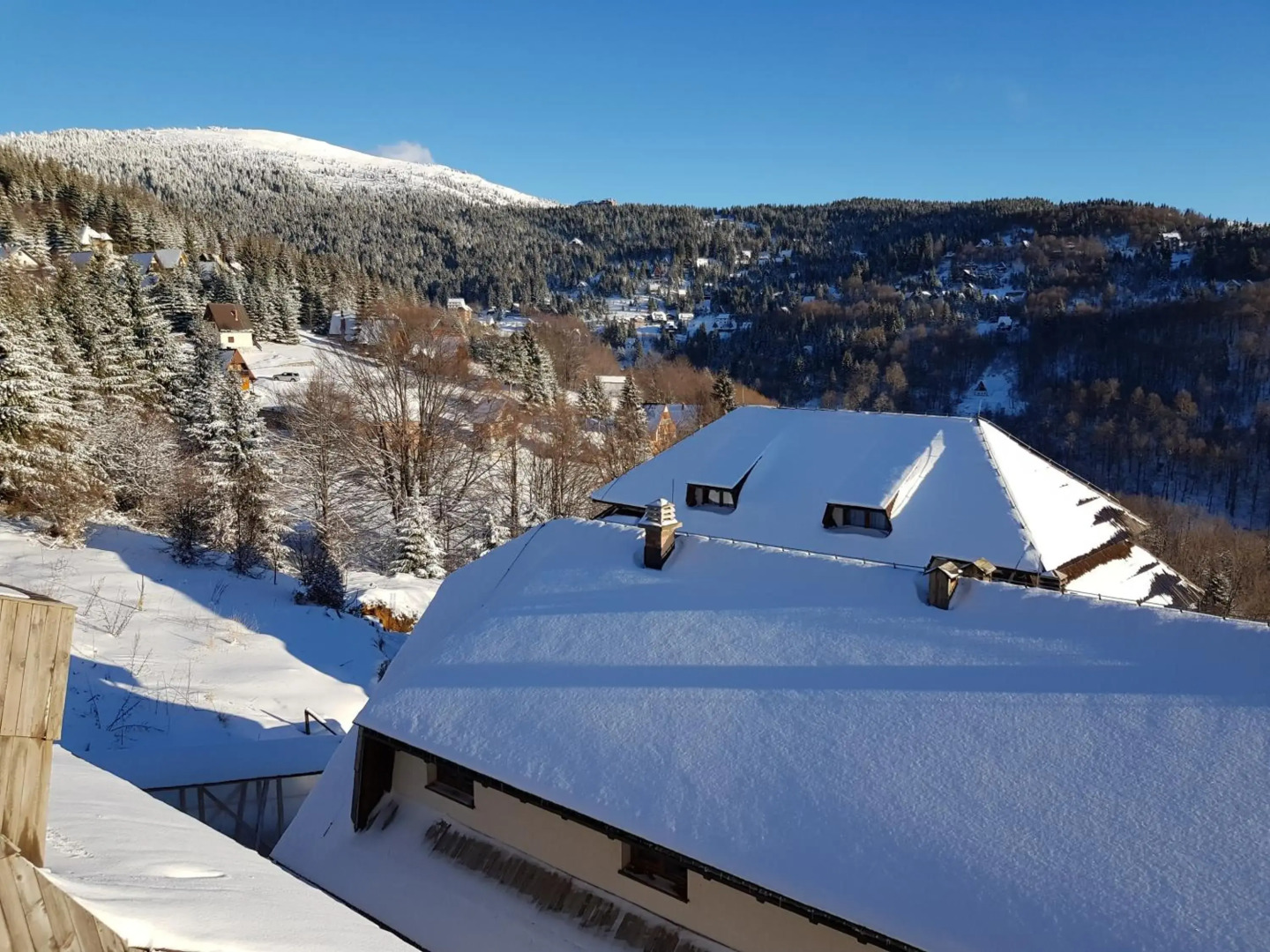 Ski & Relax Apartment