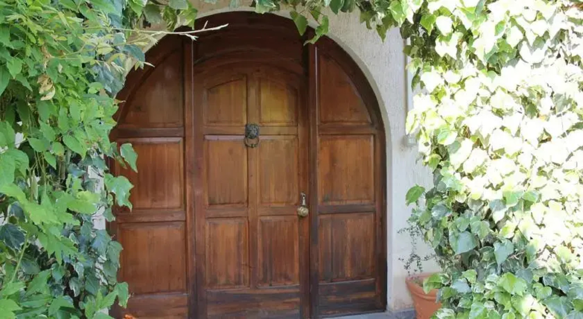 Vacation Homes Elba