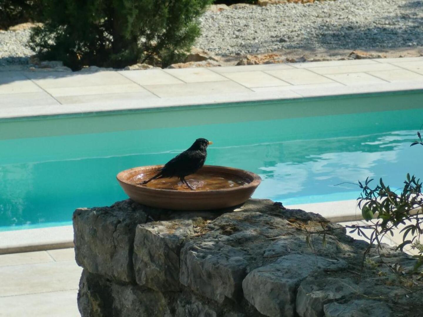 Apartments Splendissima Krk