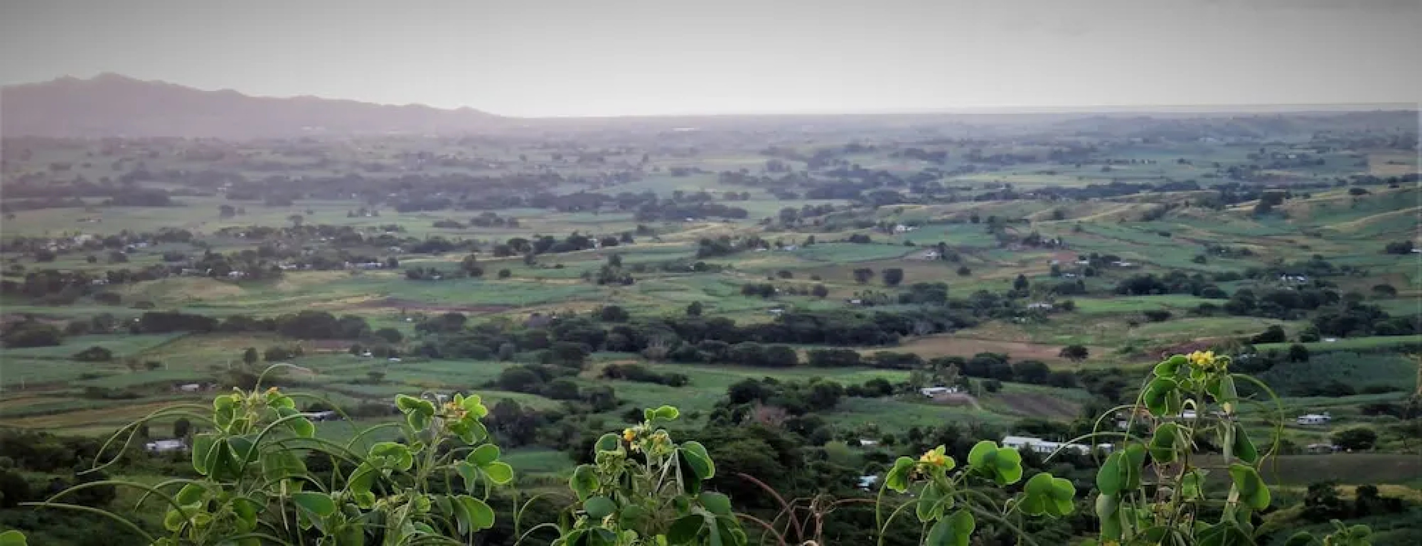 Mountain Oasis Farm Stay