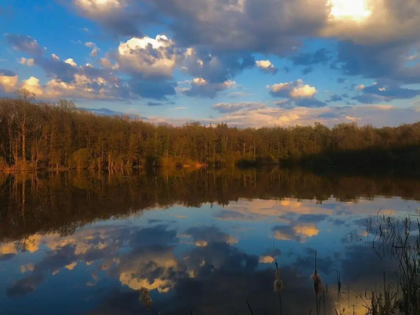 Au Repère des Elfes