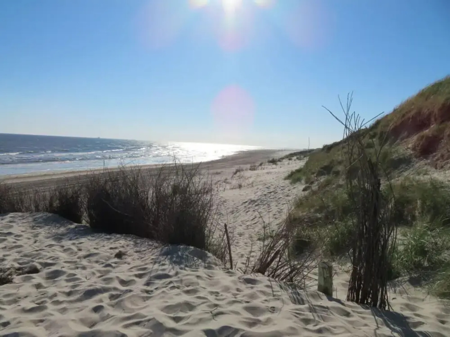 Holiday Apartment Villa in the Park