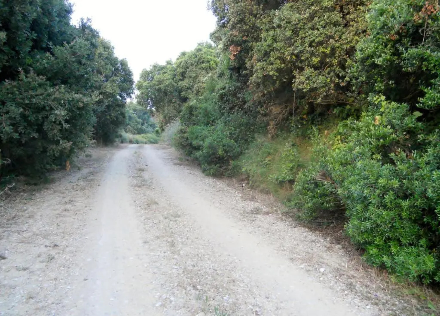 Dimitra Apartment Hotel