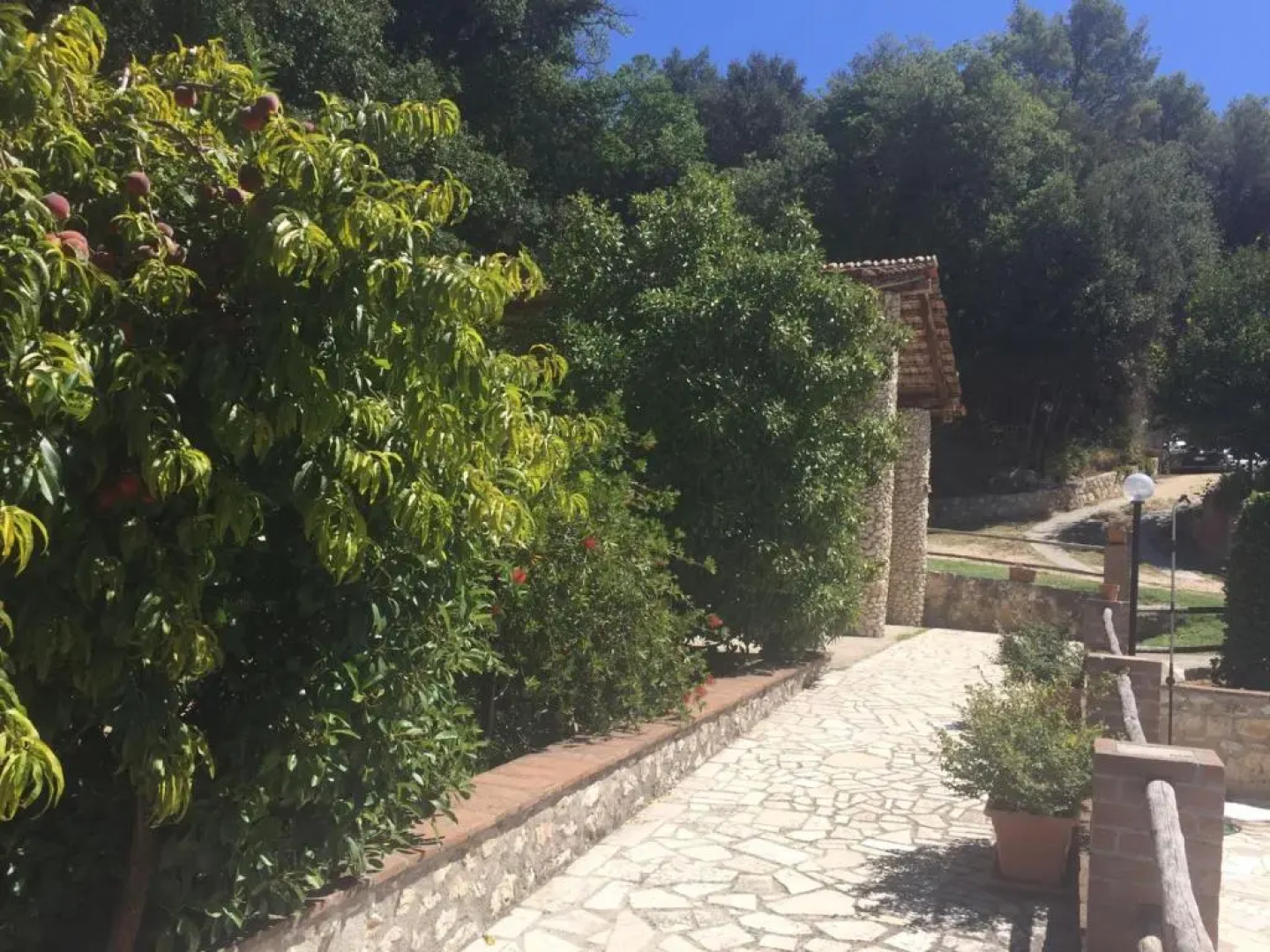 Agriturismo Belvedere Cramaccioli