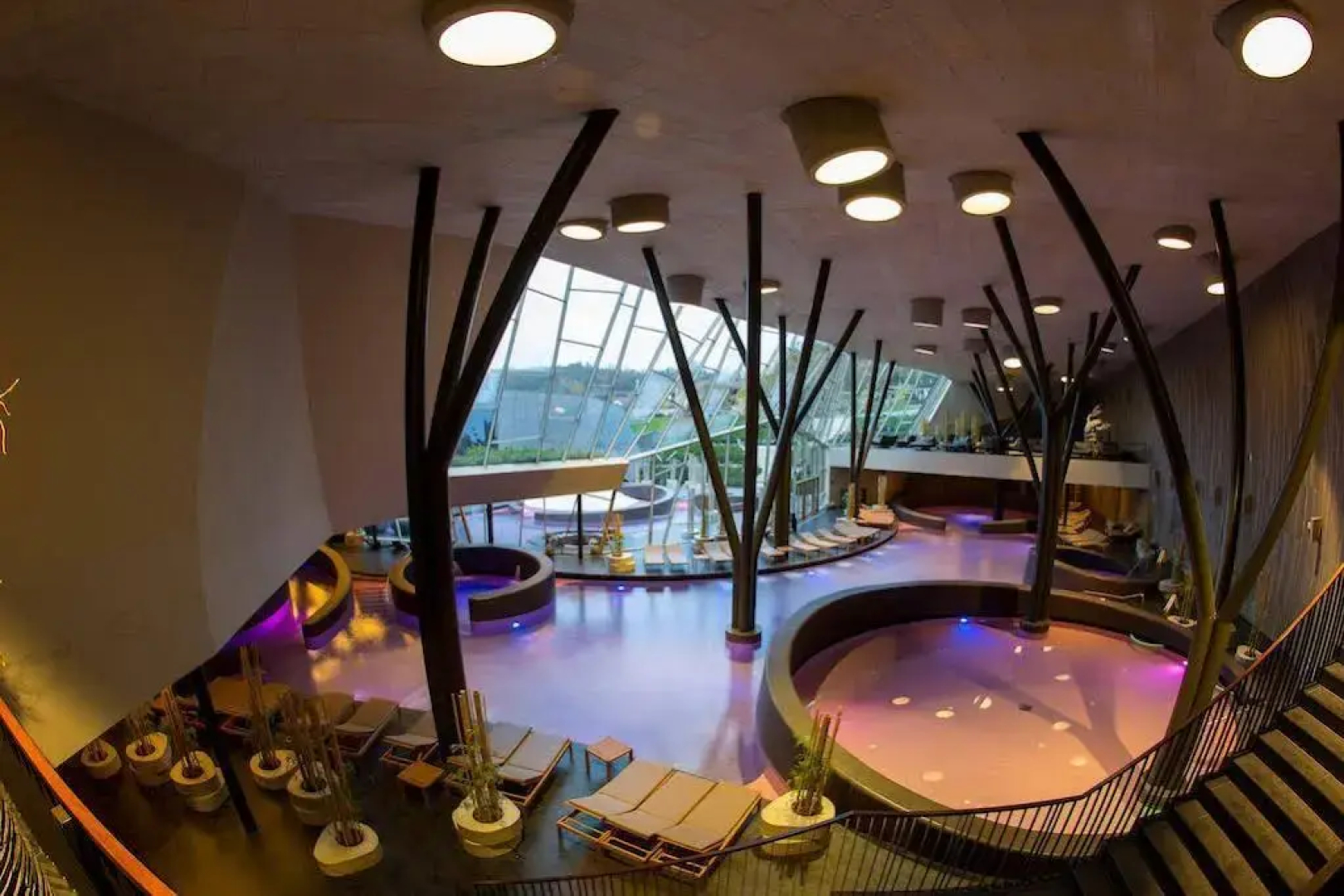 Terme Olimia - Aparthotel Rosa