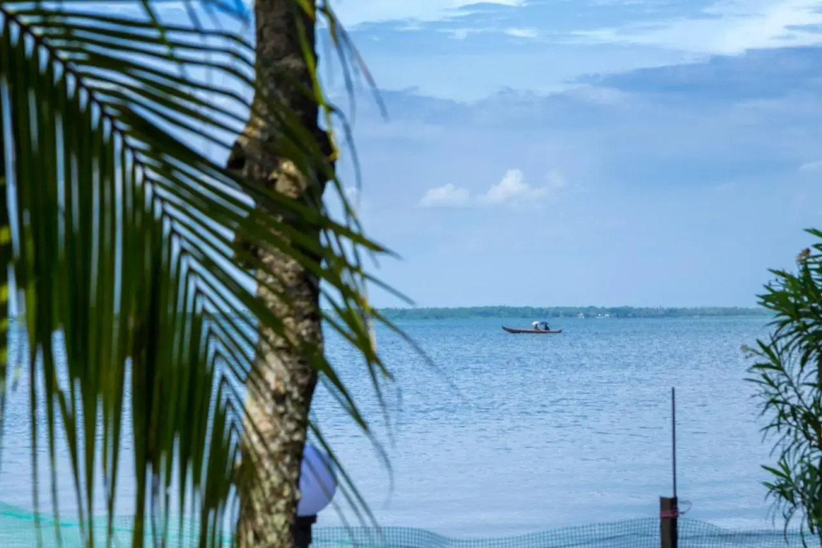 orchid lake view homestay