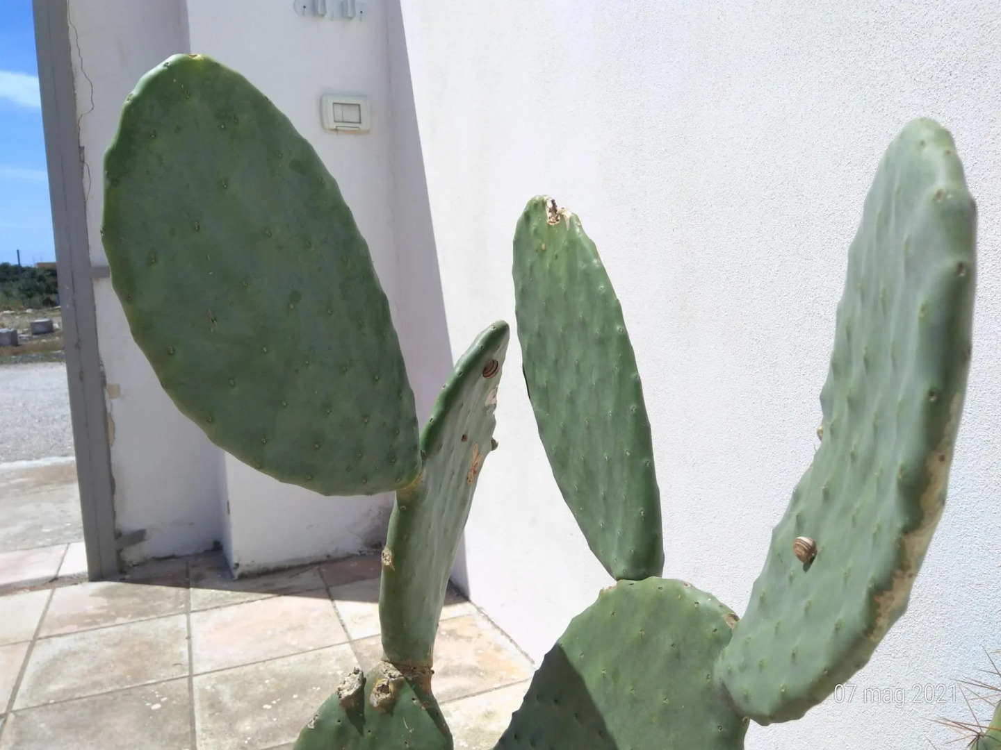 Bilo Castiglione in Porto Cesareo