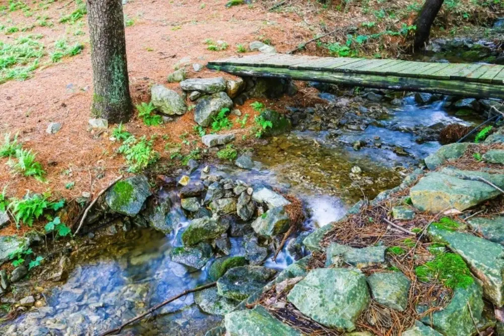 Yangpyeong Log Camp Pension