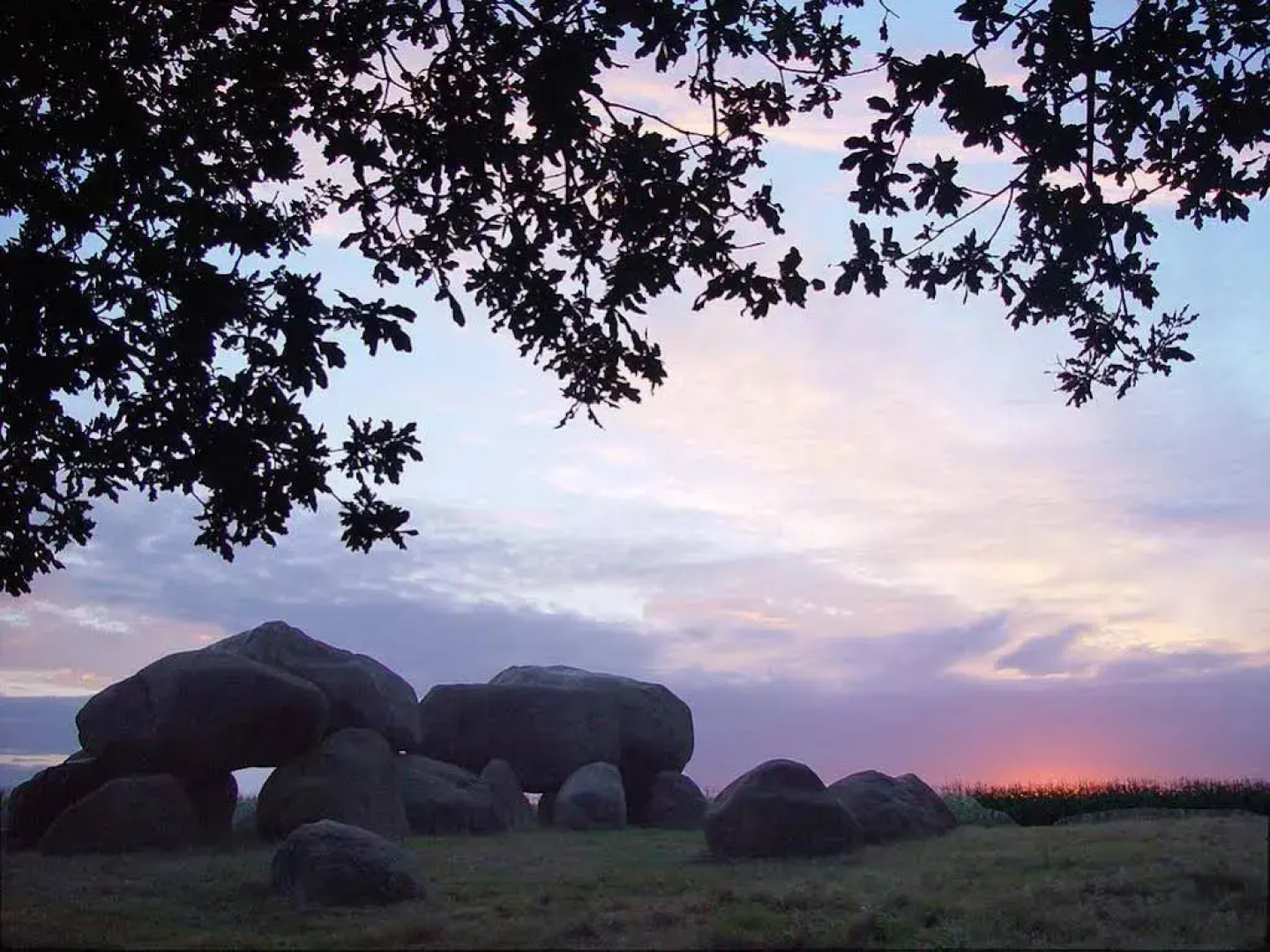 Hotel de Oringer Marke & Stee by Flow