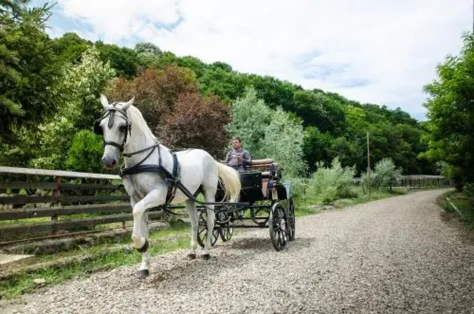 Pensiune-Restaurant Tara Luanei