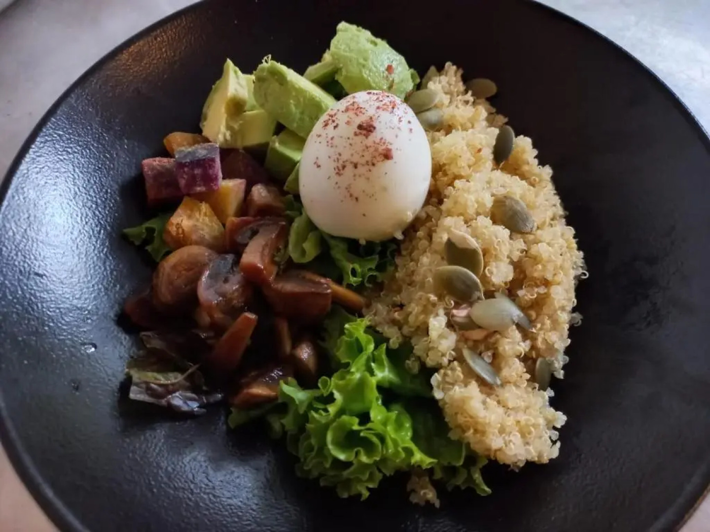 Socia/tel Amazon Tena