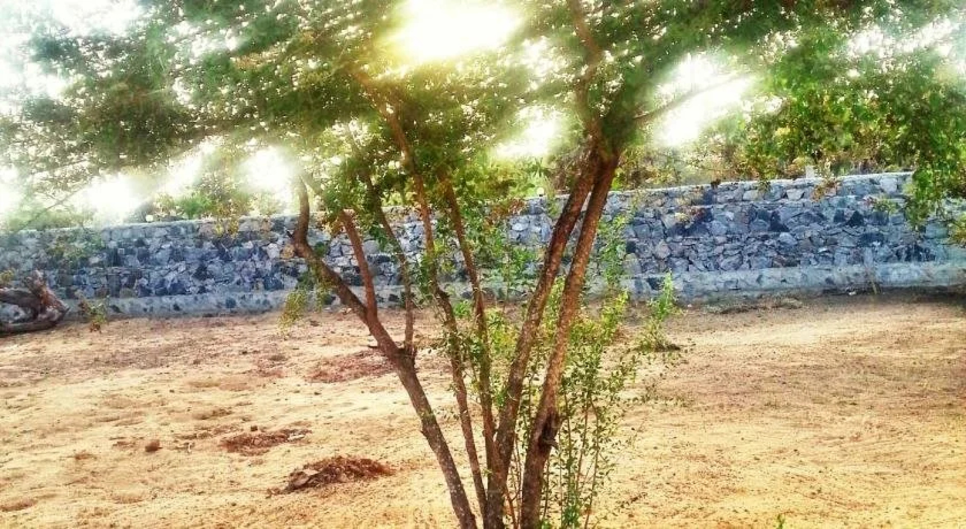 Elephant Road Resort