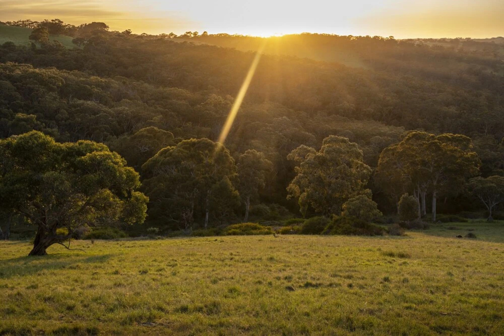 Old Coach Road Estate