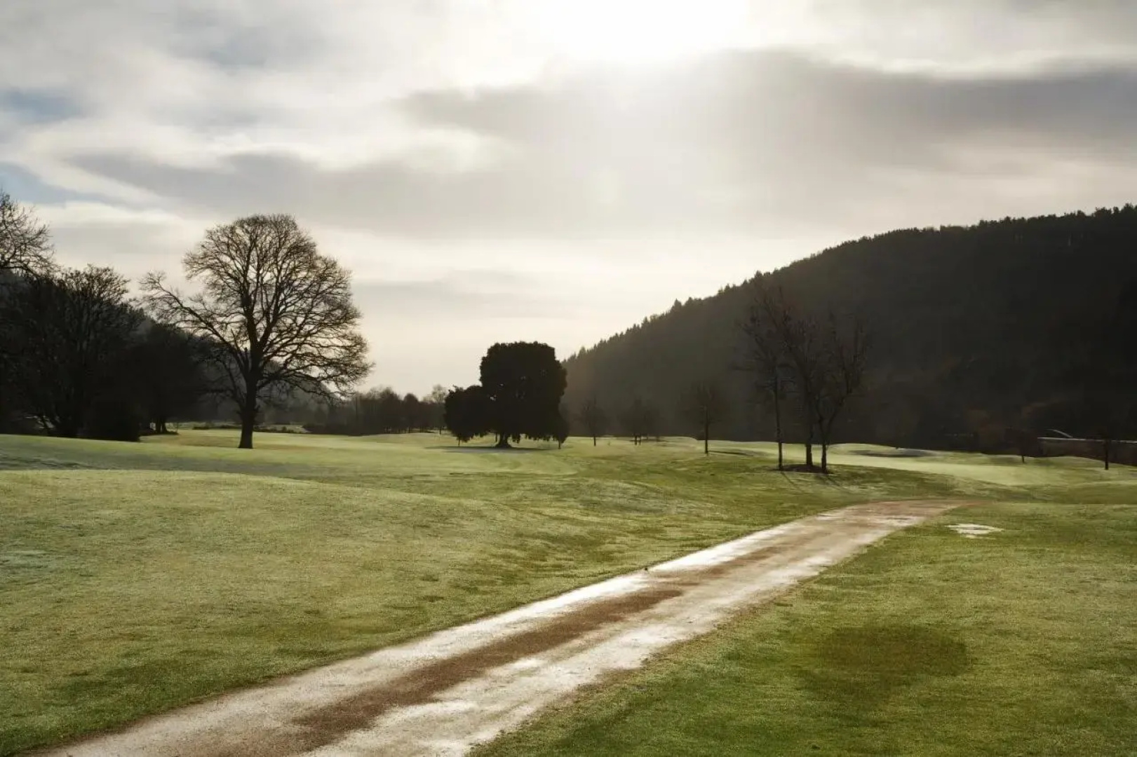 Best Western Woodenbridge Hotel & Lodge