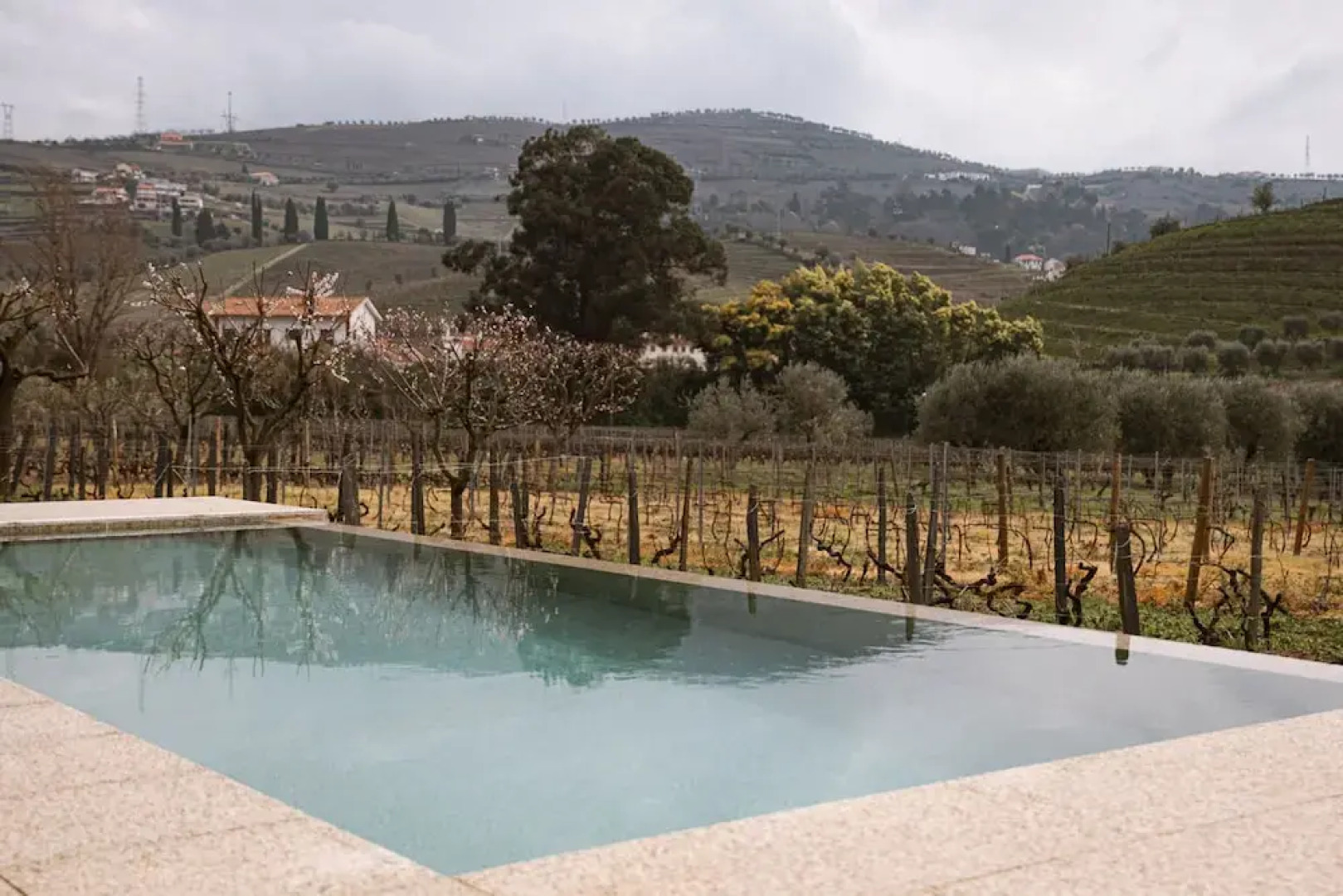 Imago Houses 1 - by MET