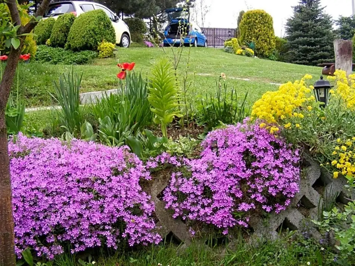 Górski Domek w Lipowej w Beskidzie Żywieckim