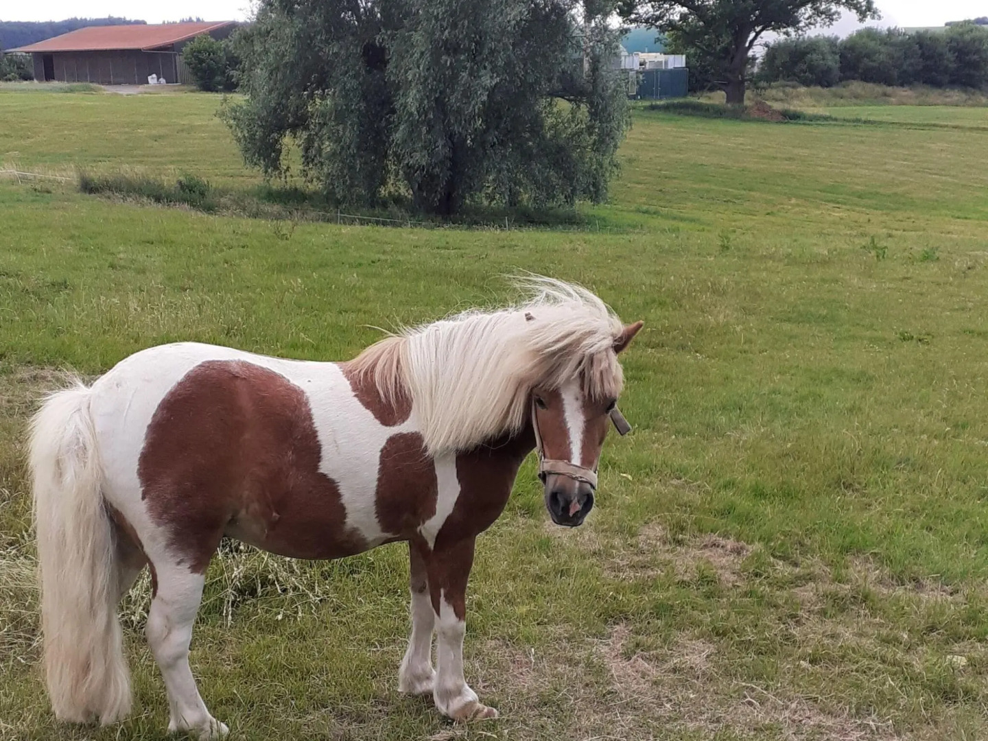 Two separate farmhouse apartments under one roof