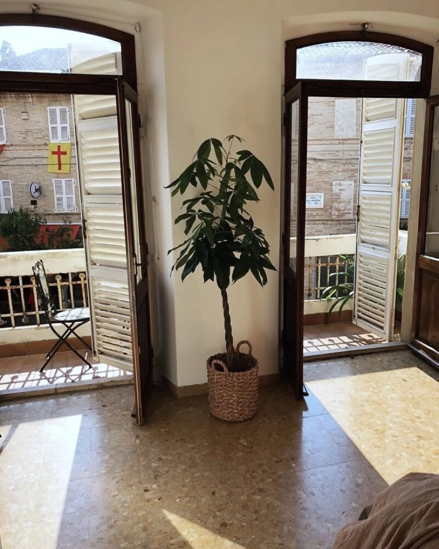 B&B Il Sogno Grottazzolina