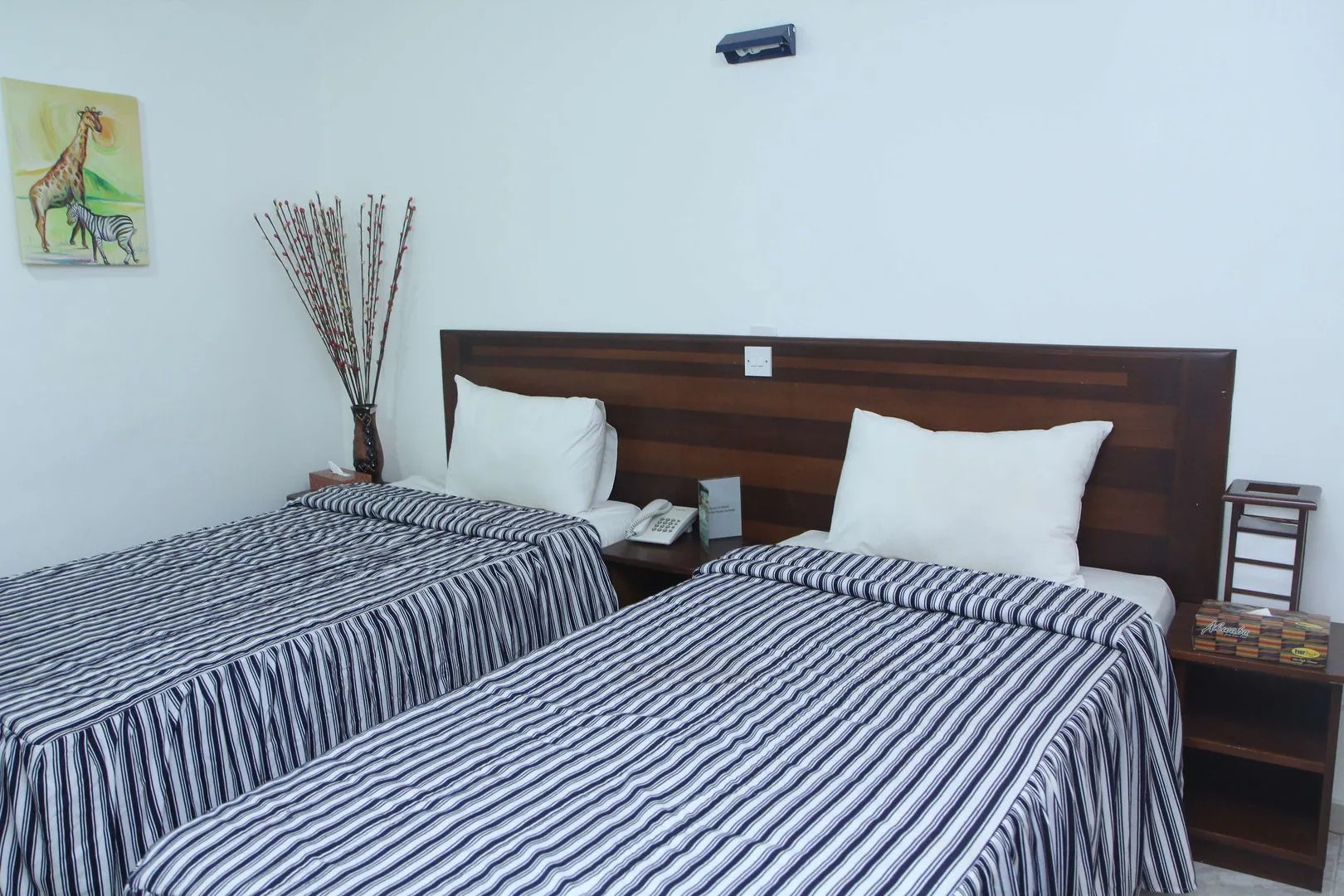 The Tulip By Ave Maria