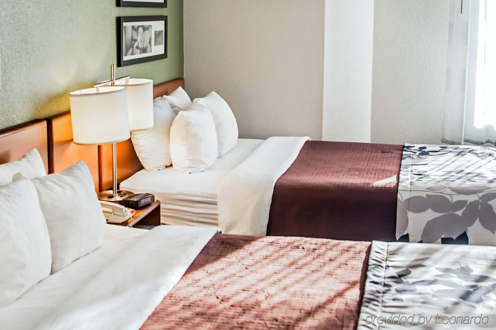 Sleep Inn Near Quantico Main Gate