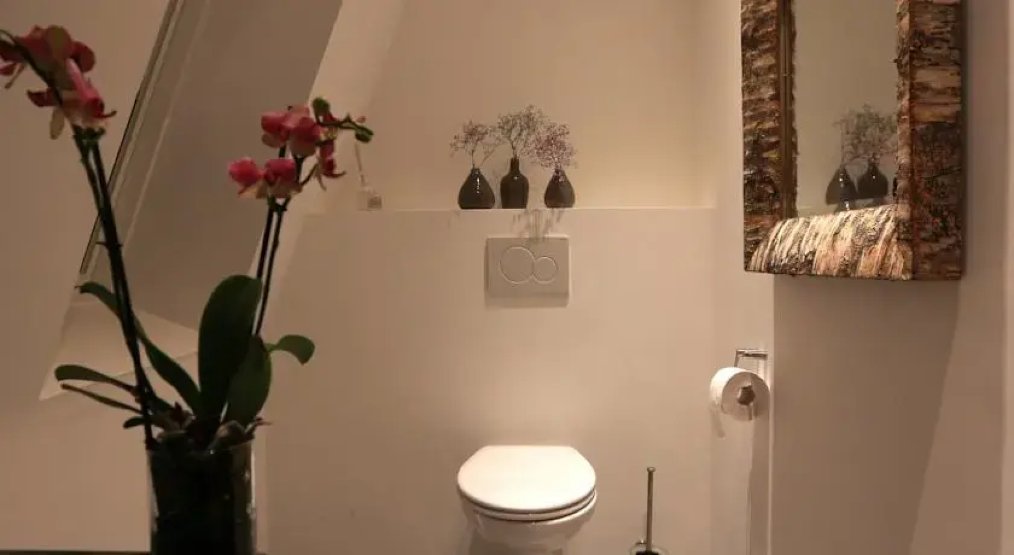 Loft 49