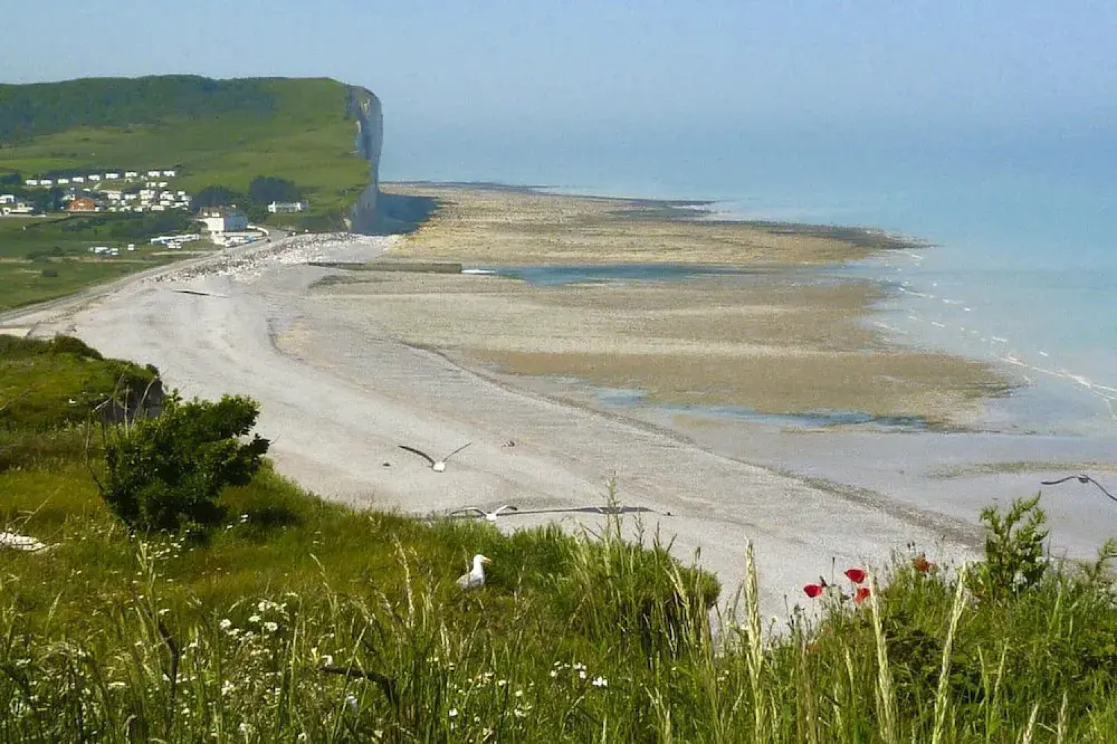 Architectural Villa Near the Coast, Sainte-colombe