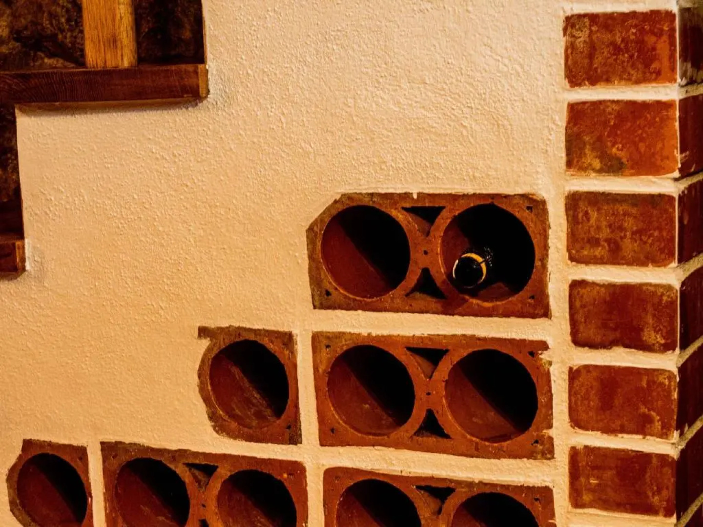 Casas Do Favacal - a Traditional Xisto House