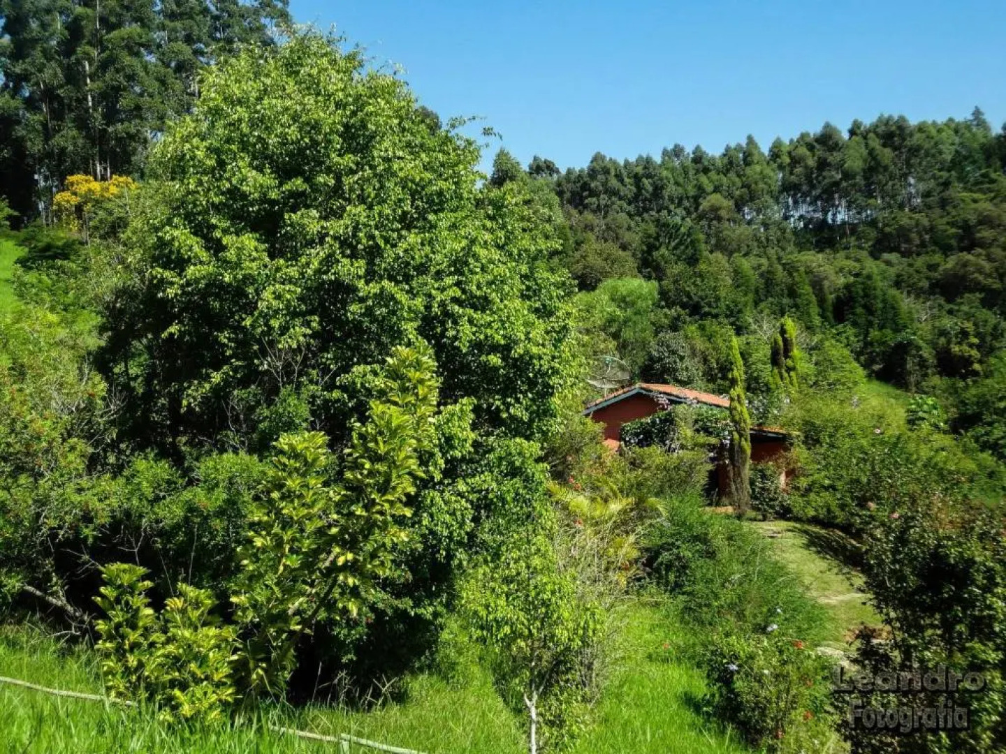 Pousada Passaredo Montanha