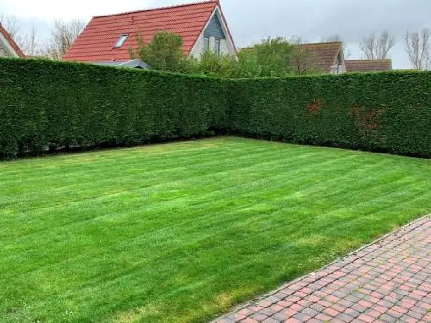 Park Schoneveld: Zeemeeuw 138