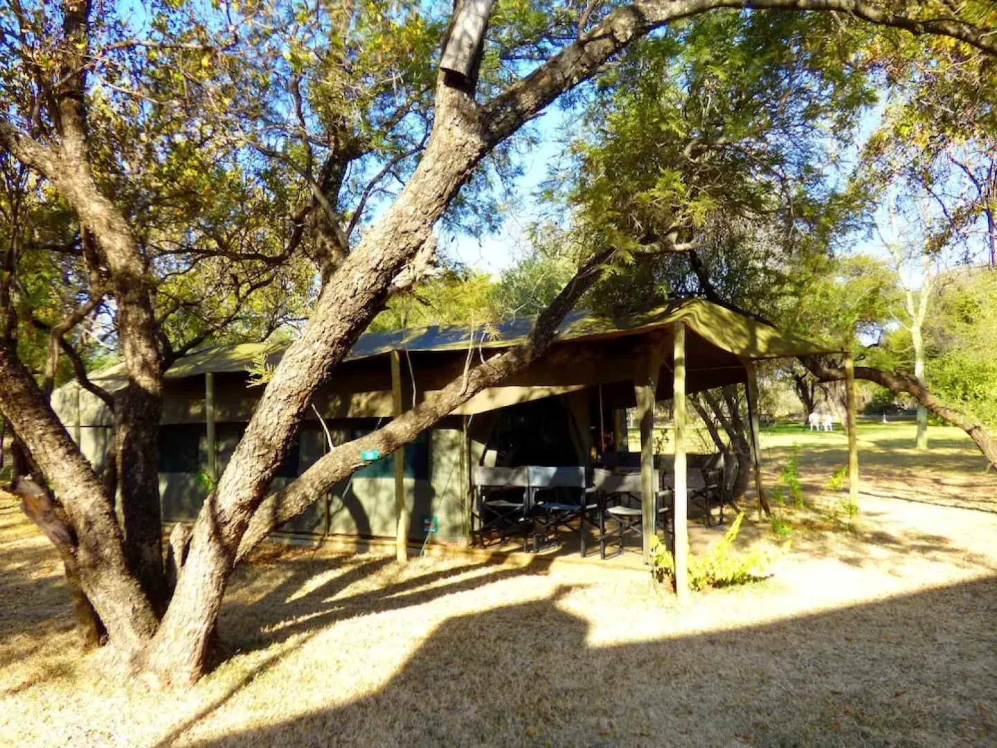 Thorn Tree Bush Camp
