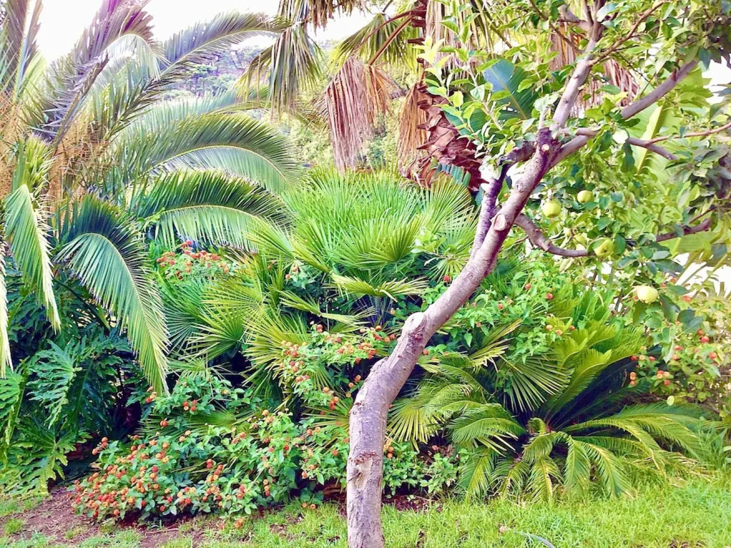 House With 2 Bedrooms in Genalguacil, Málaga, With Shared Pool, Enclosed Garden and Wifi Near the Beach