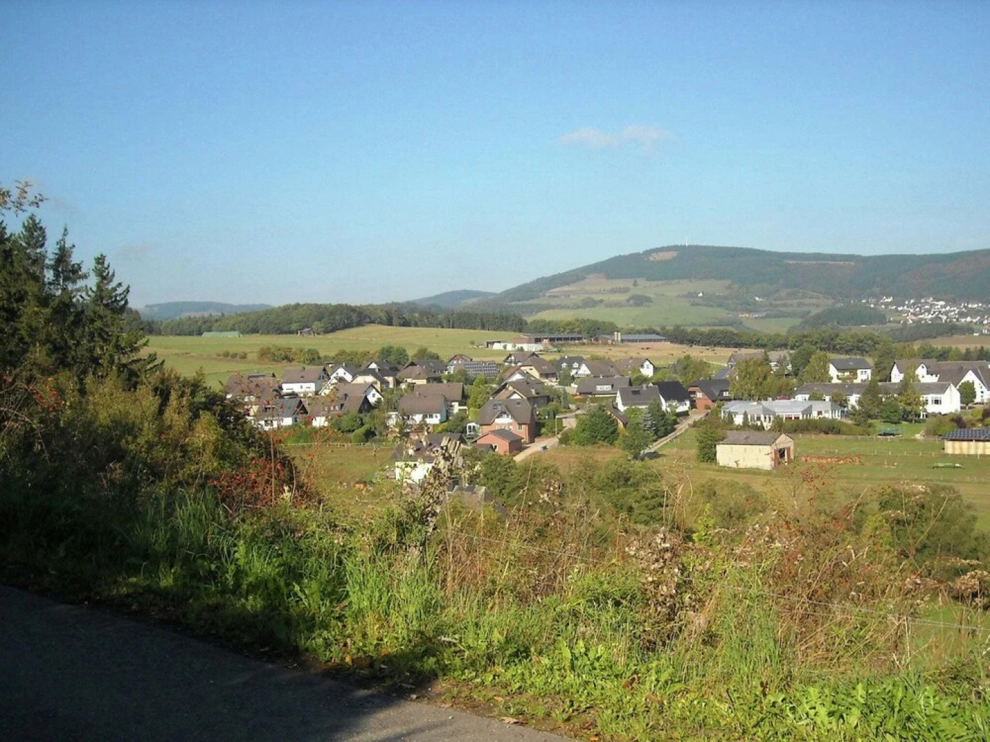 Comfortable Apartment in Oberschledorn Sauerland