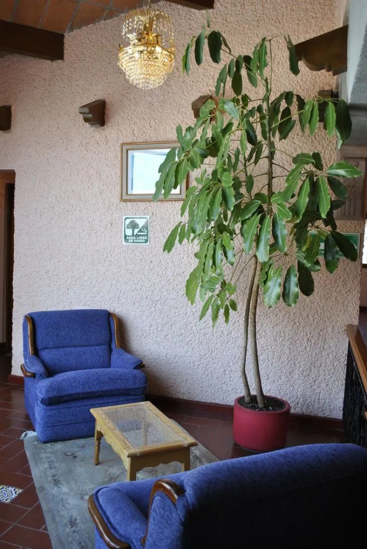 Best Western Del Angel