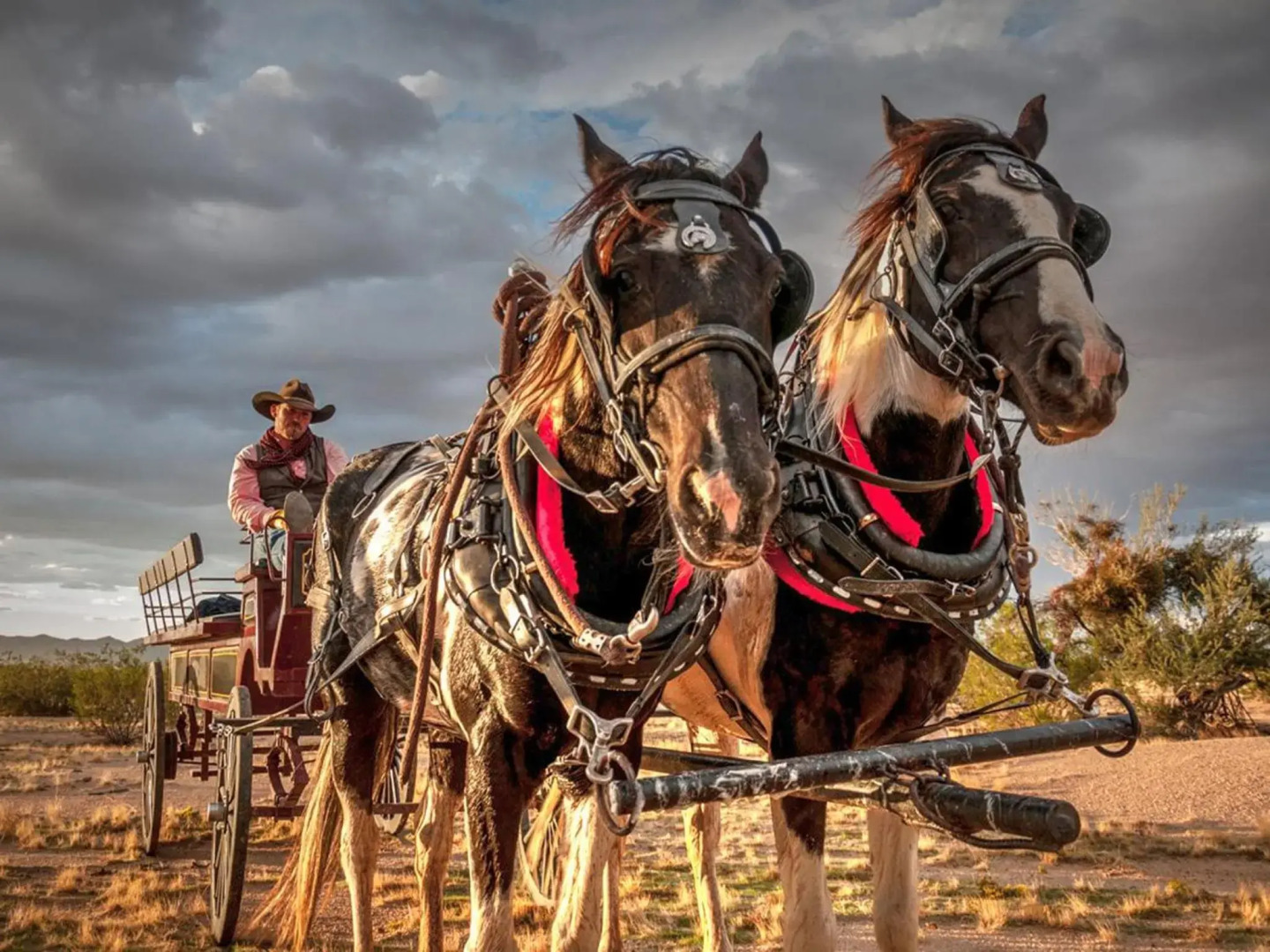 Stagecoach Trails Guest Ranch