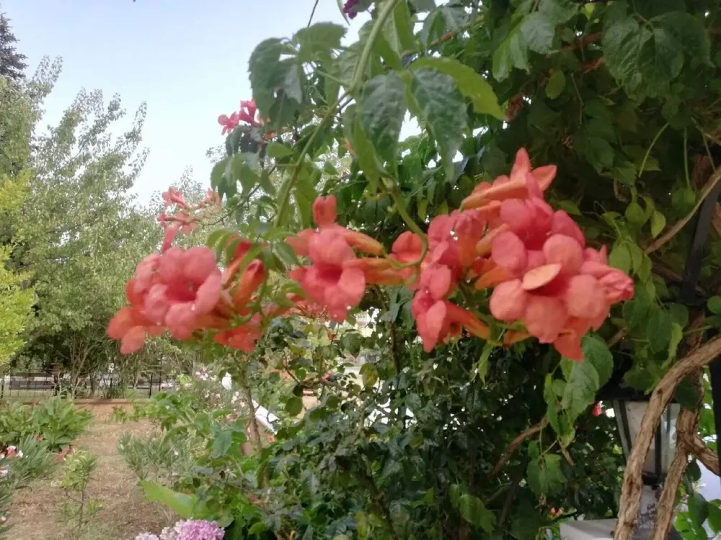 Annem Apart Pansiyon