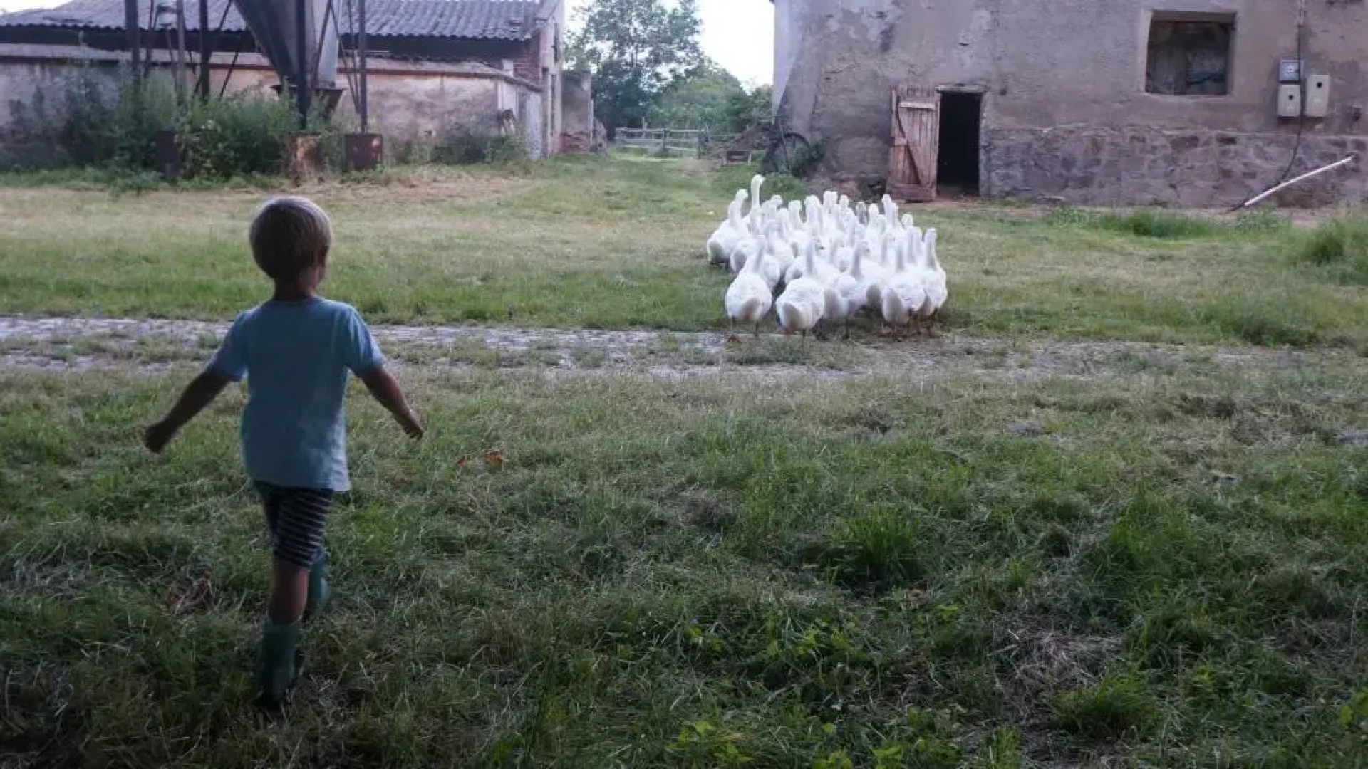 Piotrowice Nyskie Palace