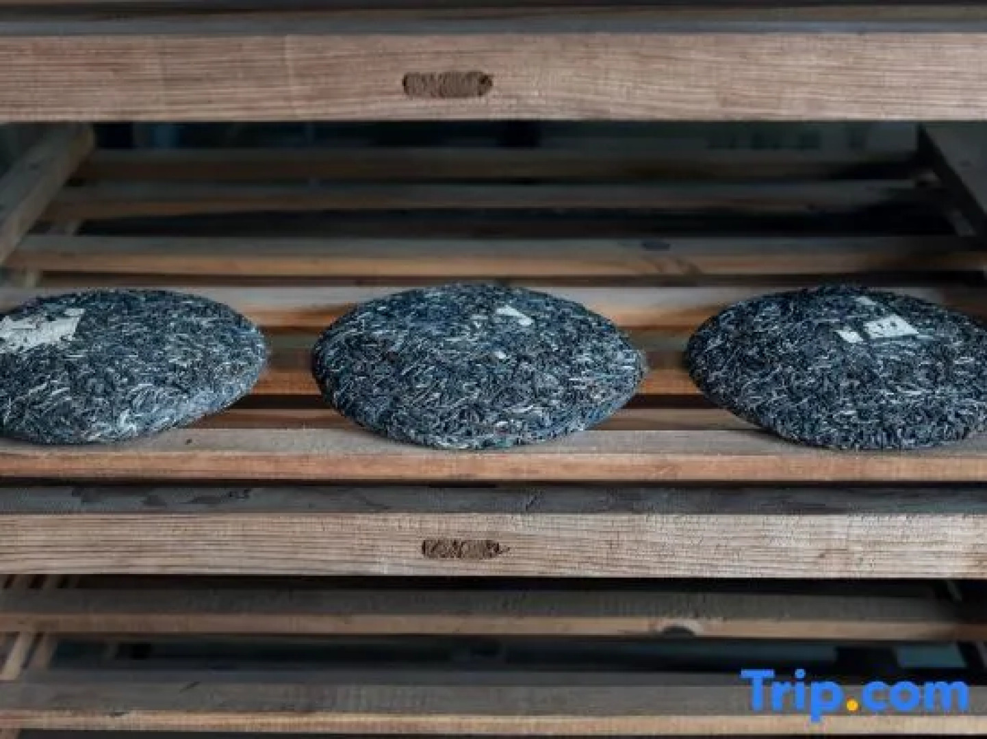 Jingmai Bolian Resorts & SPA