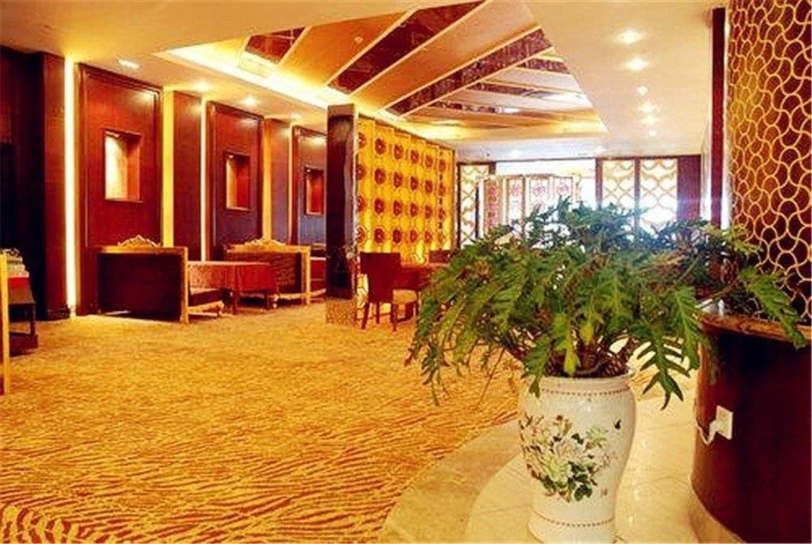 Hafree Internationall