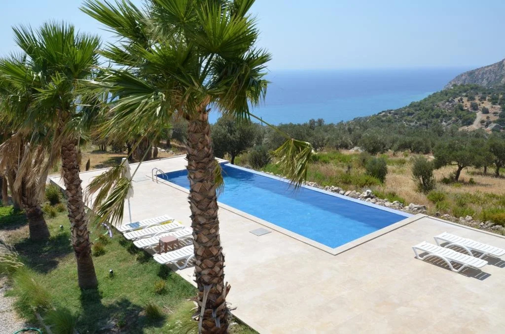 Guesthouse Camelion