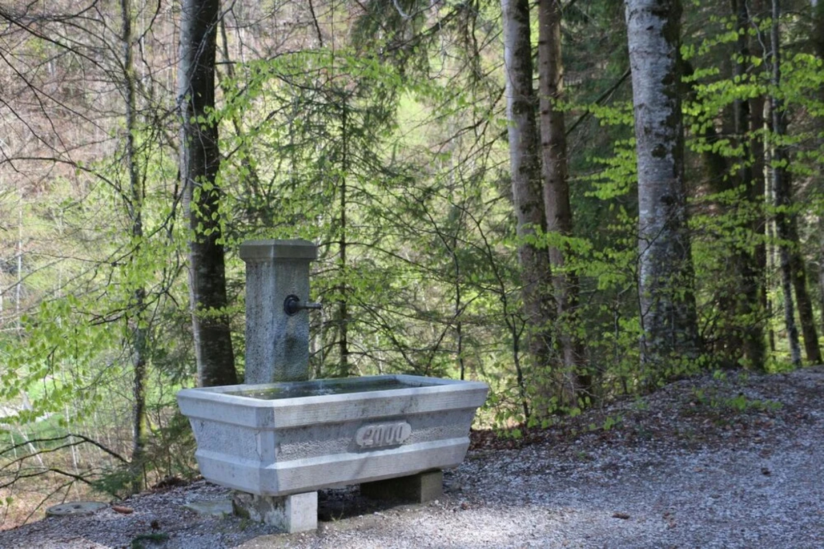 Hotel Restaurant Du Vanil Noir