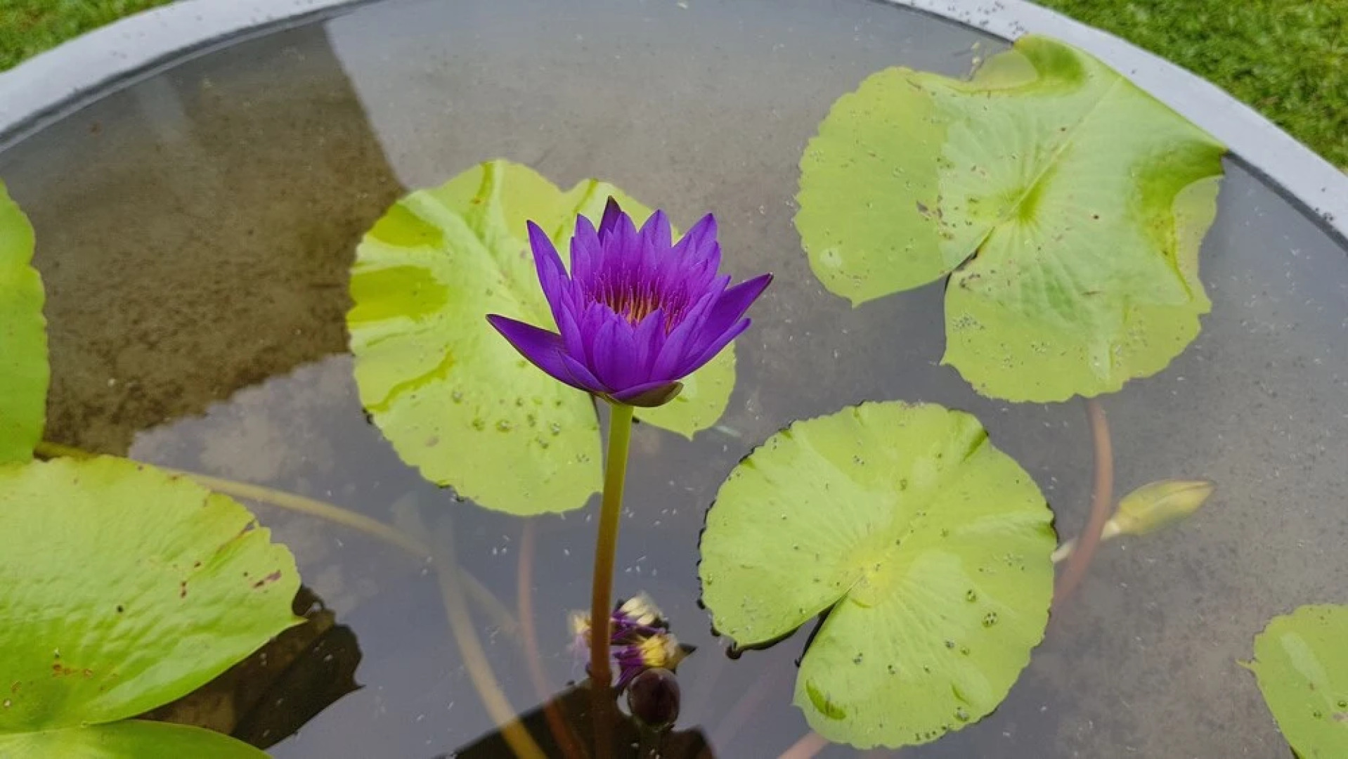 Nature Paradise Villas