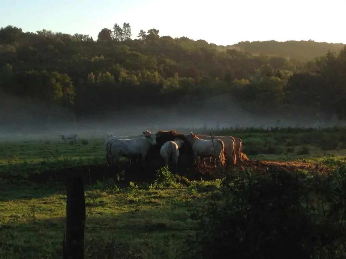 Le Manoir De Sauvegrain