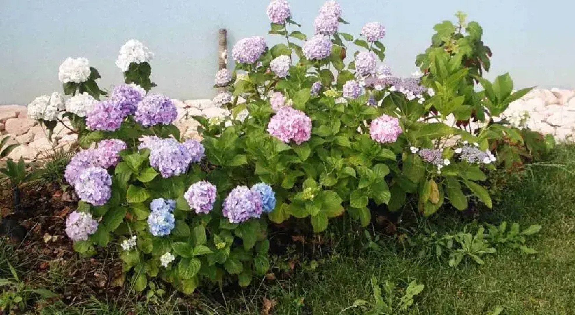 Casa Vacanze Al Mare a Pesaro