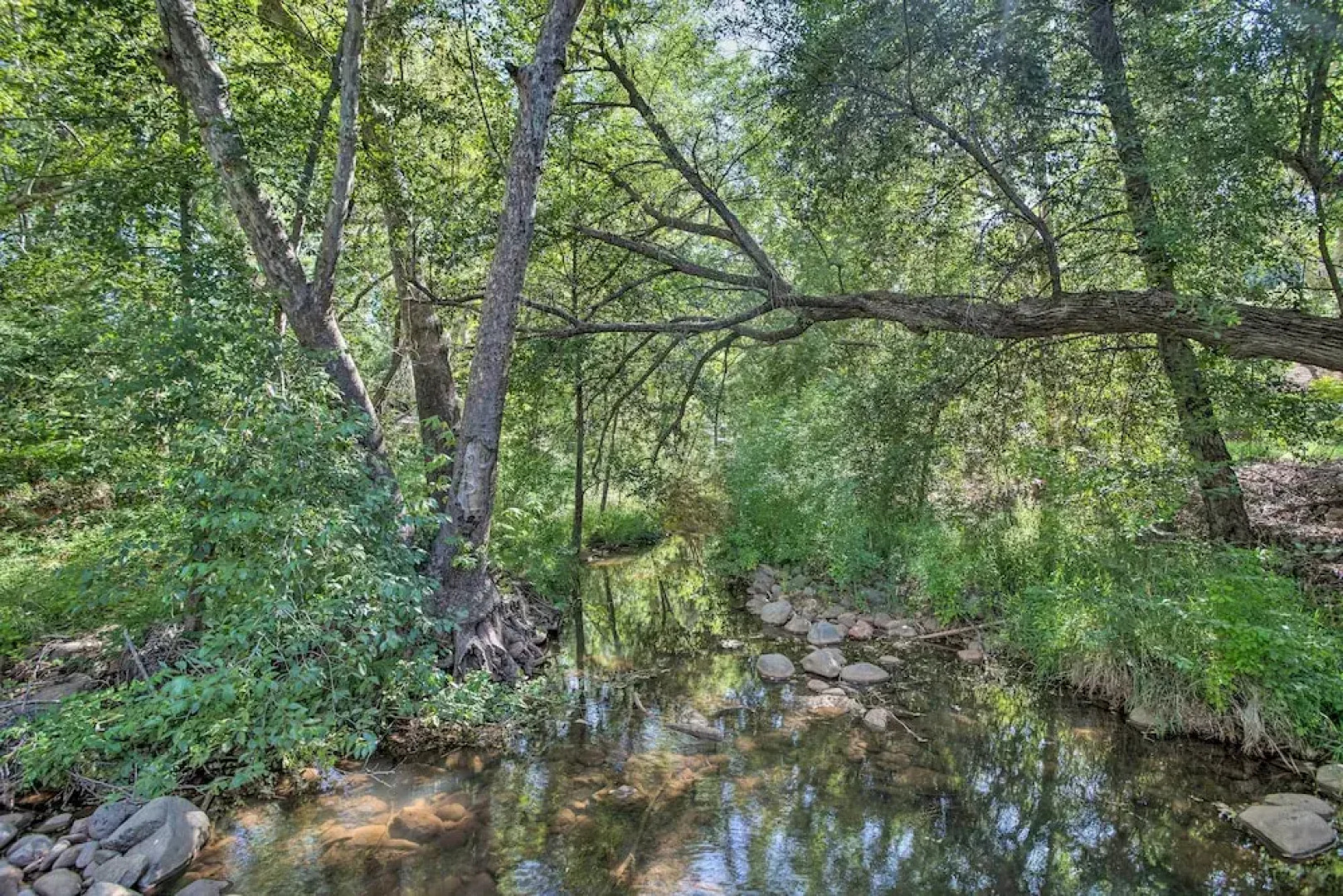 Swim Spa & Private Tavern: Sedona Hideaway!