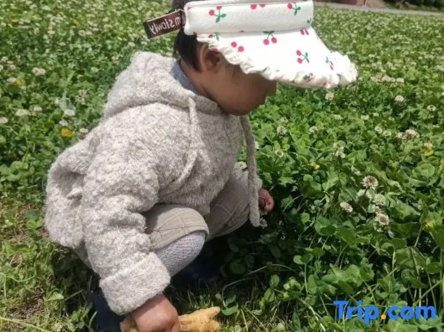 Yiwan Huqi Homestay in Lugu Lake