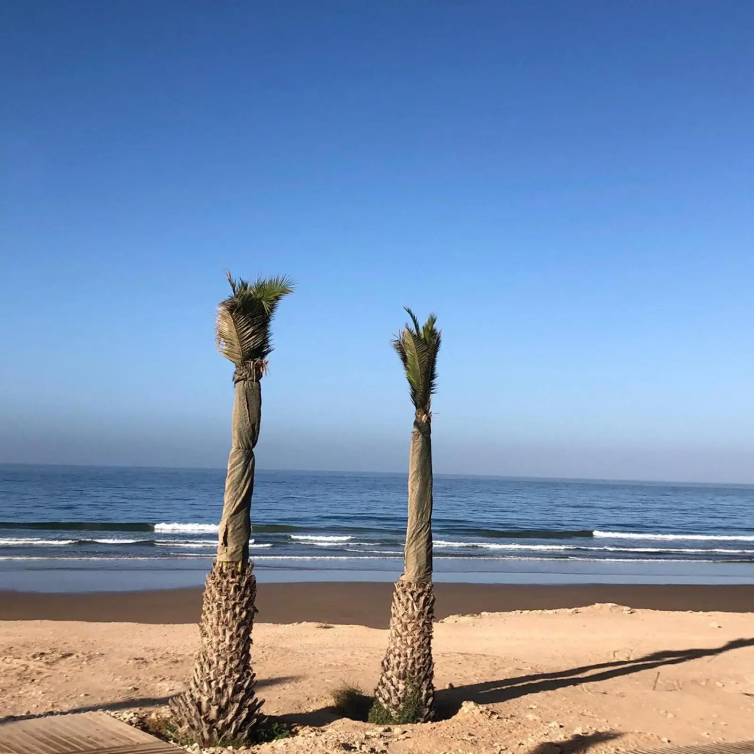 Taghazout bay Tamraght appartement