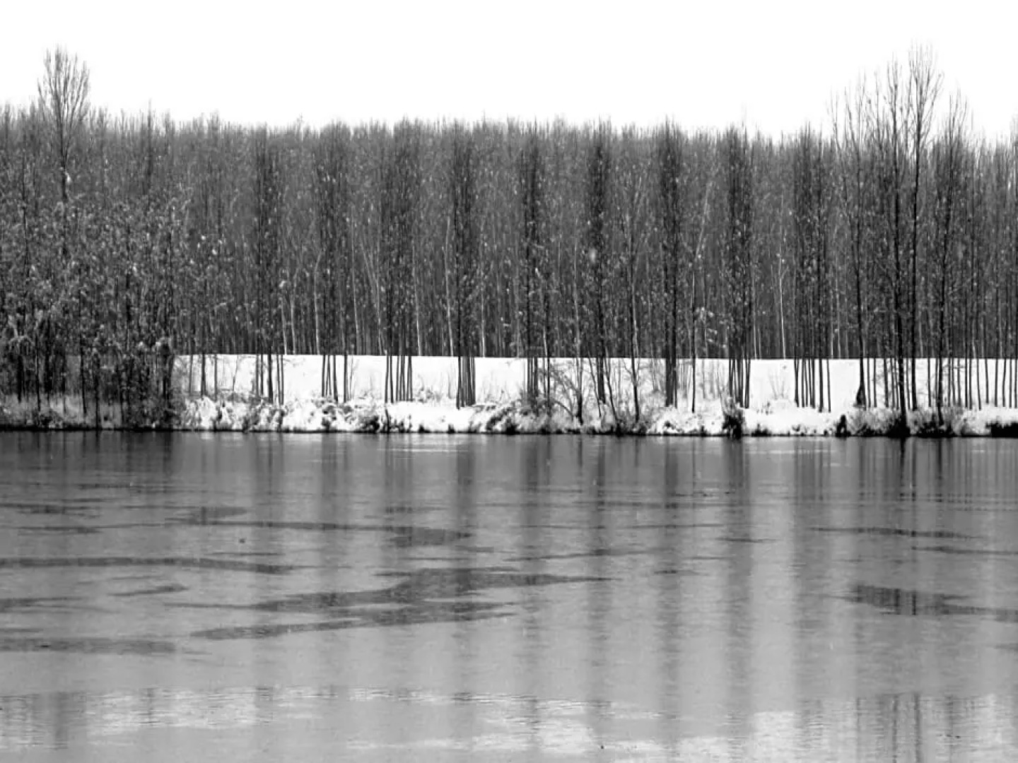 B&B La Casina del Sole