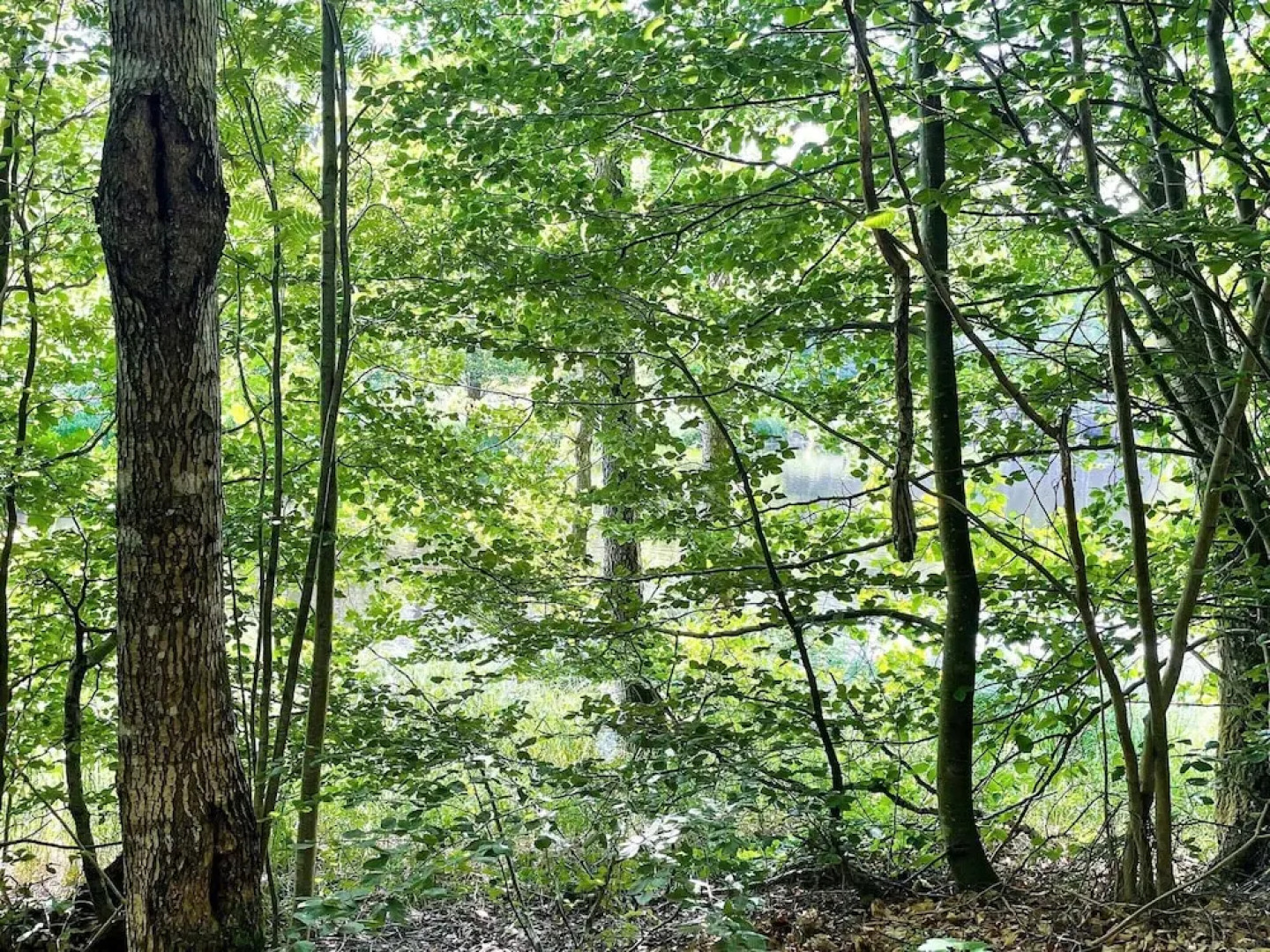 6 Person Holiday Home in Olofstrom-by Traum